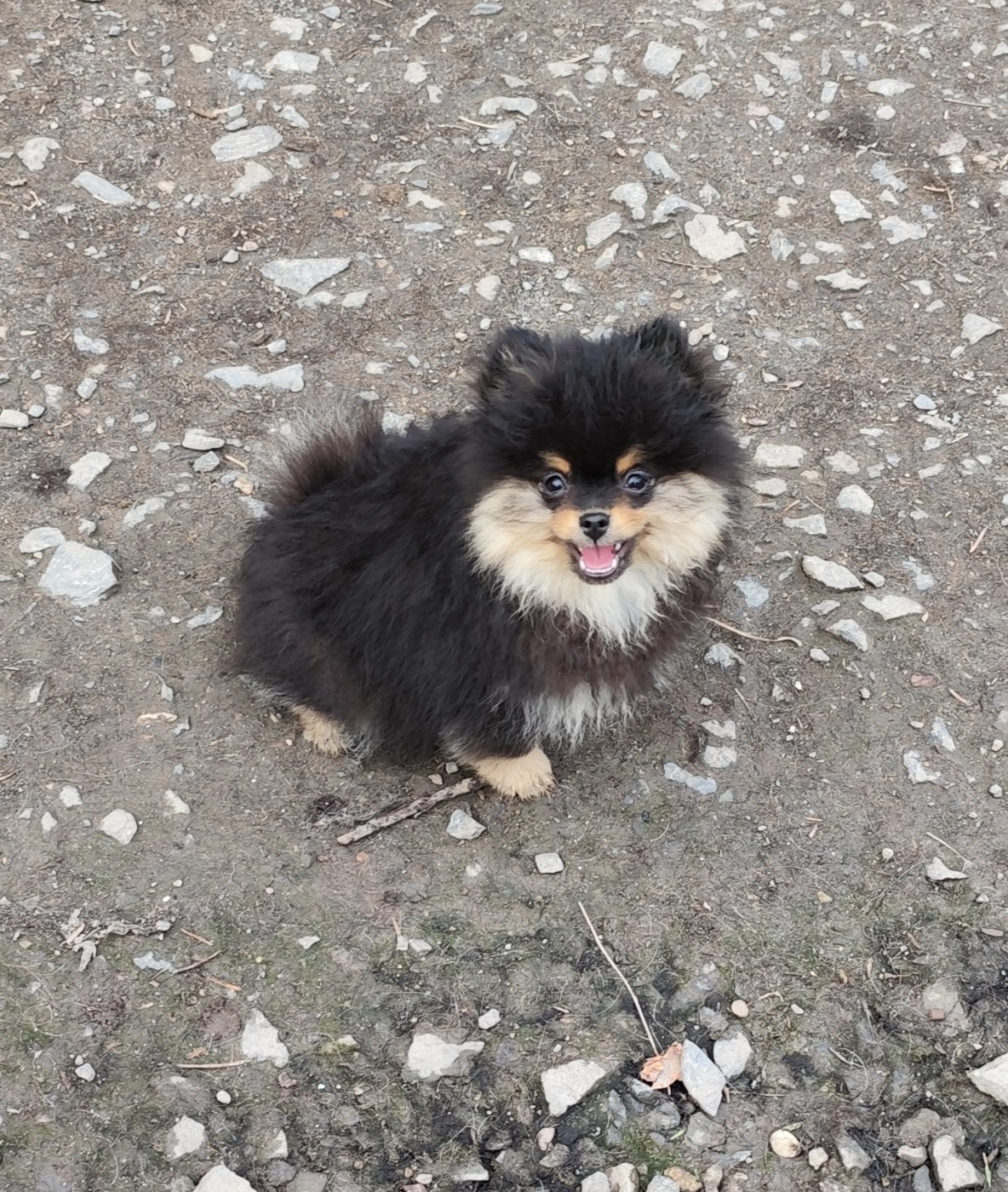 Albertine Des Merveilles De La Nature